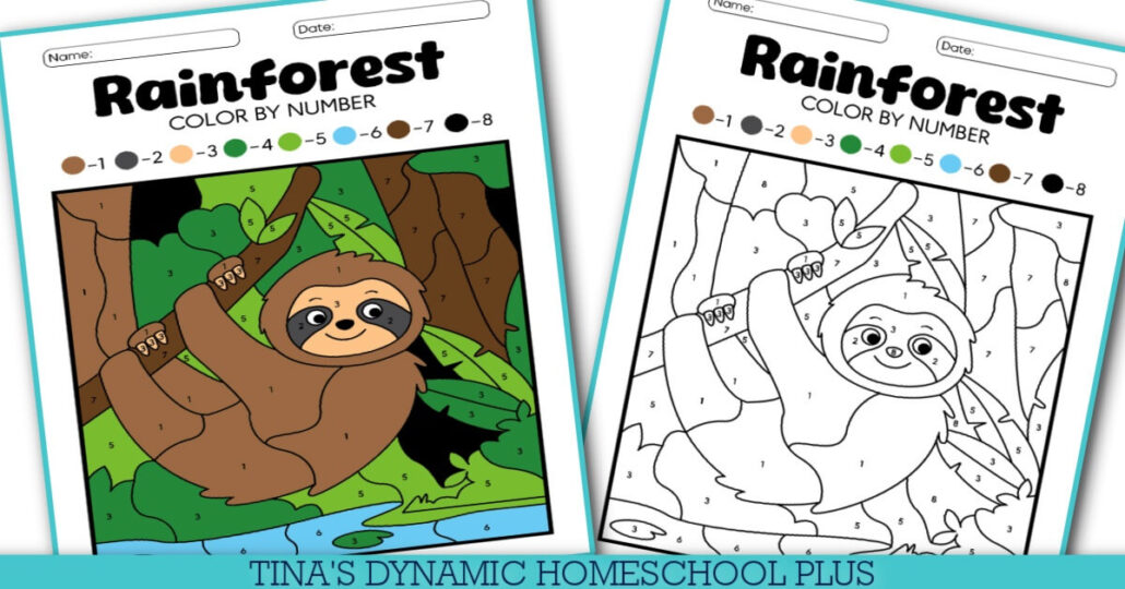 The Wonders of Nature: Free Color by Number Sloth Rainforest Habitat Page