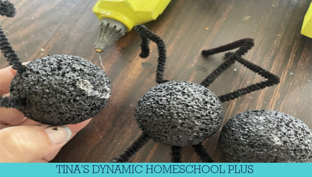 8 Best Summer Unit Studies For Kindergarten | Free Ant Study