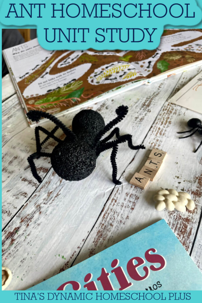 8 Best Summer Unit Studies For Kindergarten | Free Ant Study