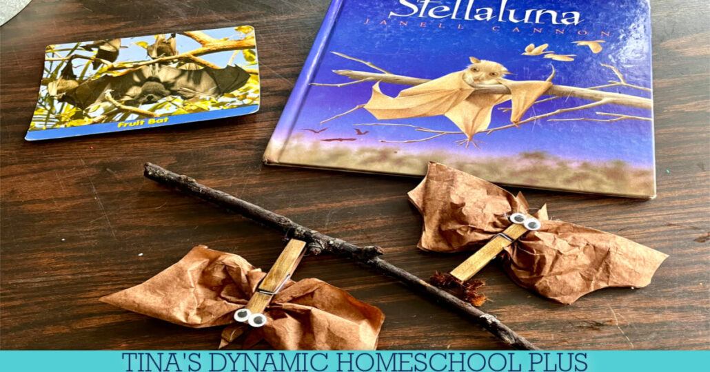 8 Stellaluna Kindergarten Activities | How To Make A Coffee Filter Bat Craft