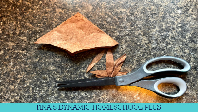 8 Stellaluna Kindergarten Activities | How To Make A Coffee Filter Bat Craft