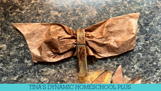 8 Stellaluna Kindergarten Activities | How To Make A Coffee Filter Bat Craft