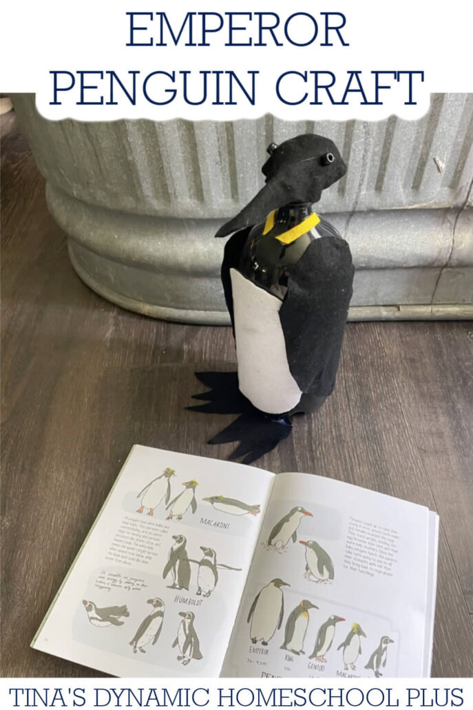 Emperor Penguin Craft: Step-by-Step Guide To Make Your Own Penguin