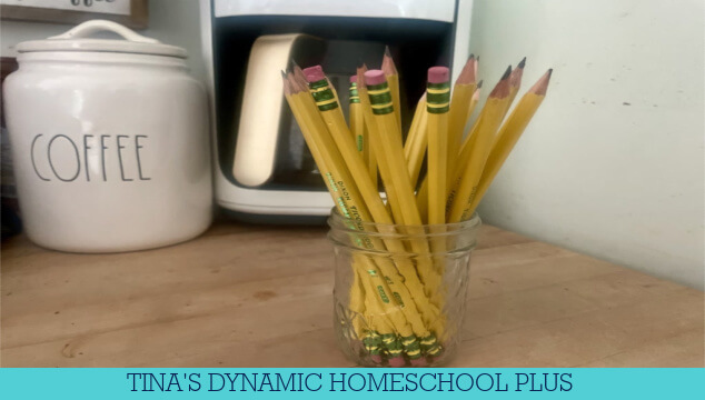 First Day Of Kindergarten Homeschool Ideas | Free Scavenger Hunt Cards