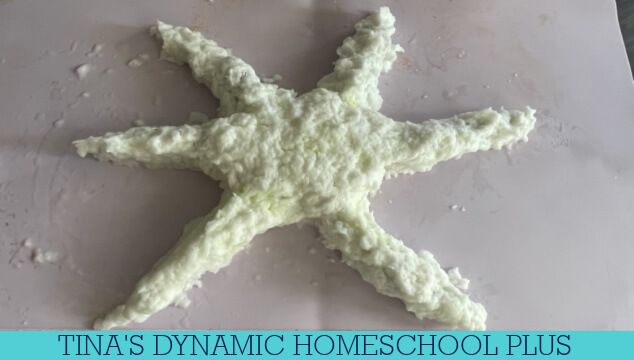 Free Summer Unit Study For Kids and Fun Starfish Craft