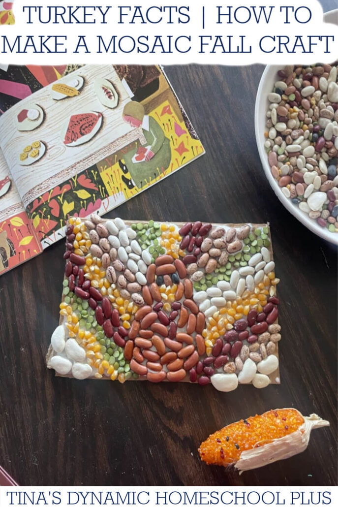 Fun Turkey Facts & How to Make A Mosaic Fall Craft