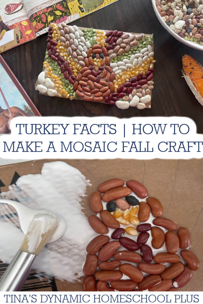 Fun Turkey Facts & How to Make A Mosaic Fall Craft