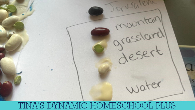 6 Ancient Israel Fun Activities Middle School: How To Make A Topography Map