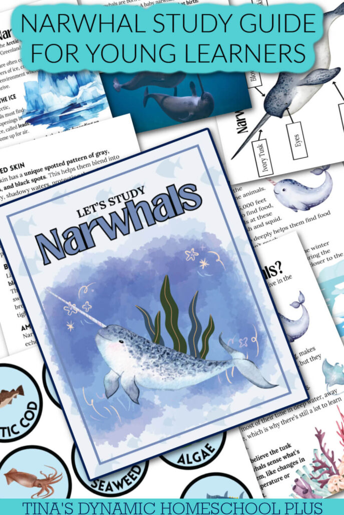 7 Easy Arctic Animals Crafts And A Narwhal Printable Packet