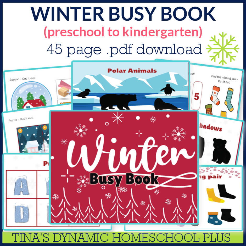 Inexpensive Preschool Winter Activities & Simple Winter Busy Book