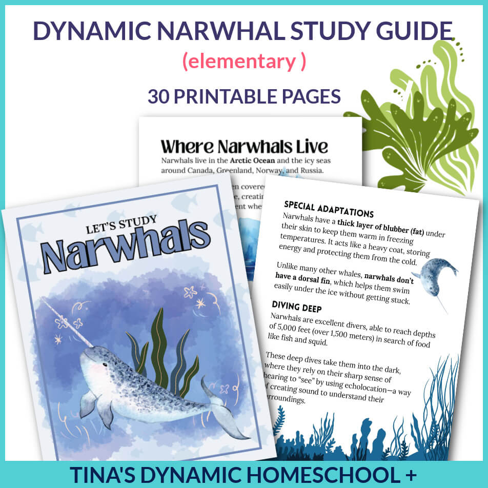 7 Easy Arctic Animals Crafts And A Narwhal Printable Packet