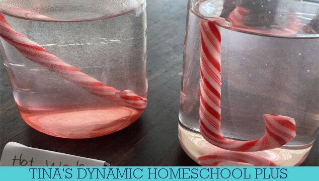 Explore The Science Of Candy: Easy Peppermint Science Experiment