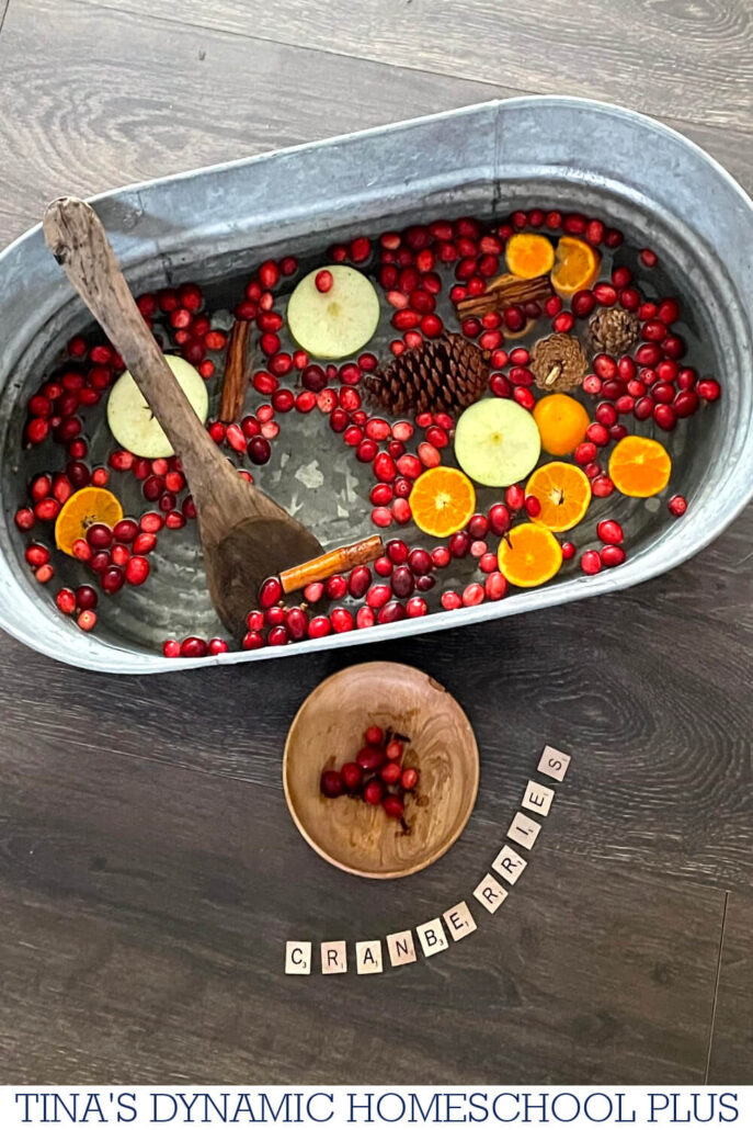 How To Create An Engaging Cranberry Sensory Bin