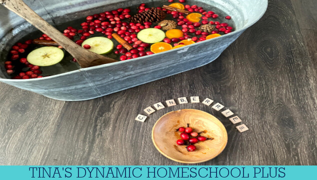 How To Create An Engaging Cranberry Sensory Bin