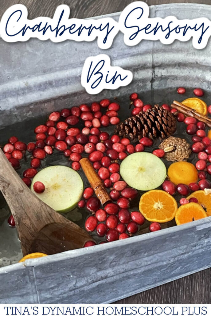 How To Create An Engaging Cranberry Sensory Bin