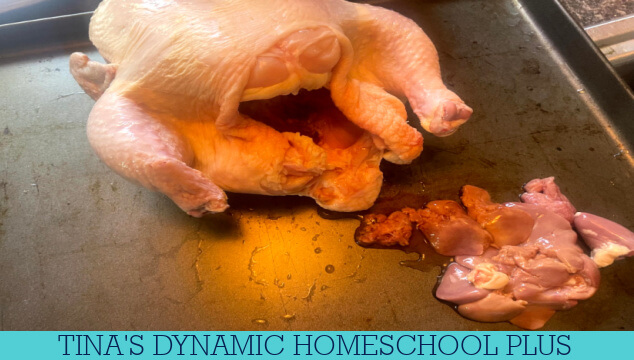 The Ancient Art Of Mummifying: How To Mummify A Chicken