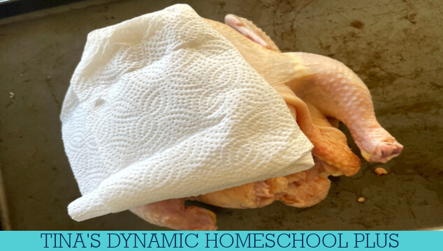 The Ancient Art Of Mummifying: How To Mummify A Chicken