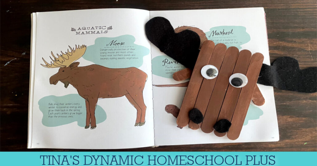 Winter Easy Crafts with An Adorable Moose Head Craft