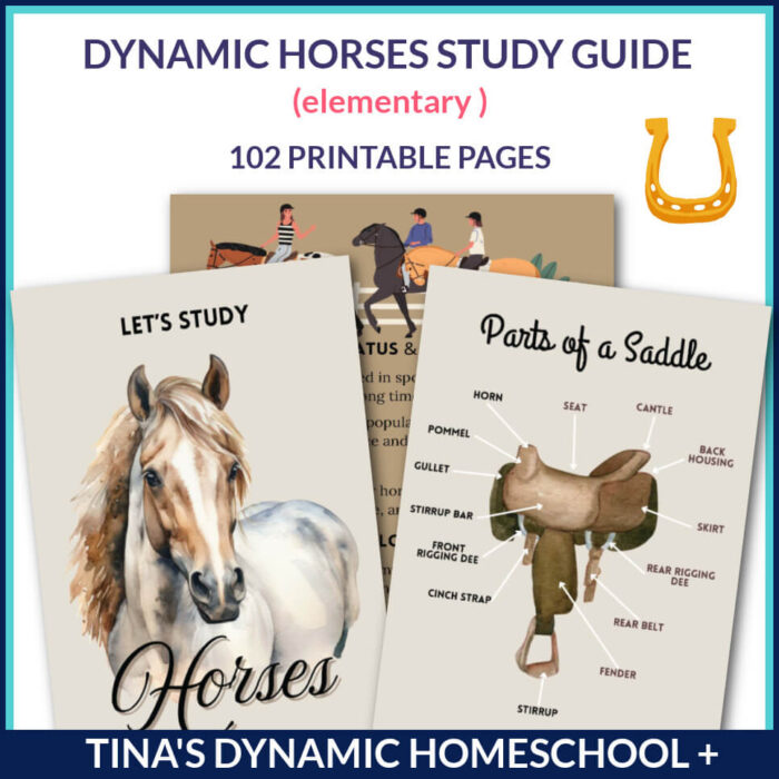 Dynamic and Amazing Horse Study Guide For Young Learners