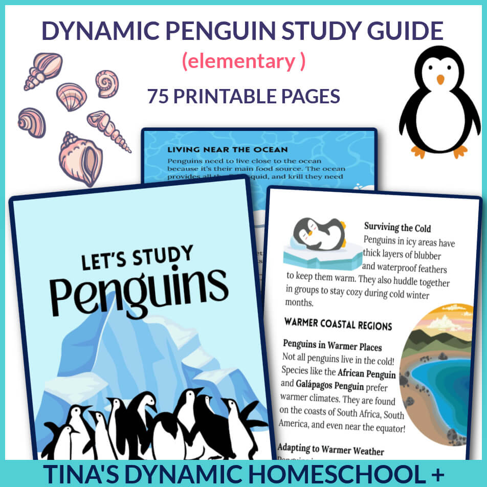 Best Free 4 Week Penguin Study Unit | Fun Study Packet