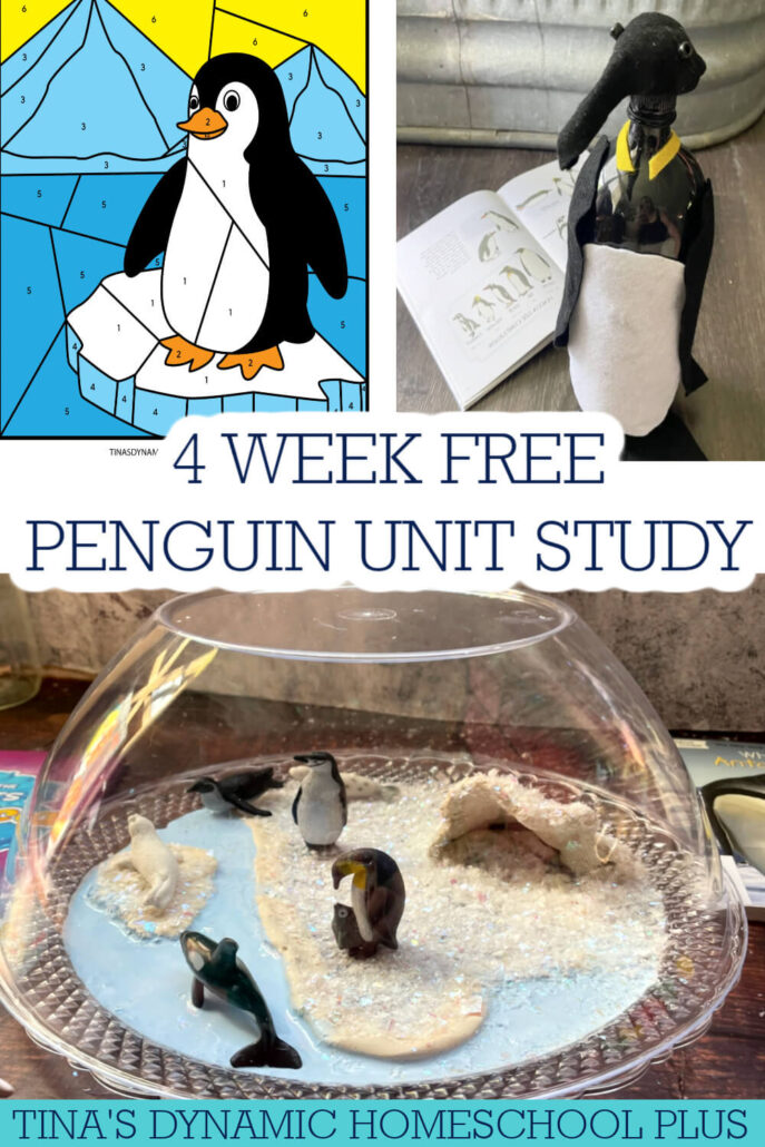 Best Free 4 Week Penguin Study Unit | Fun Study Packet