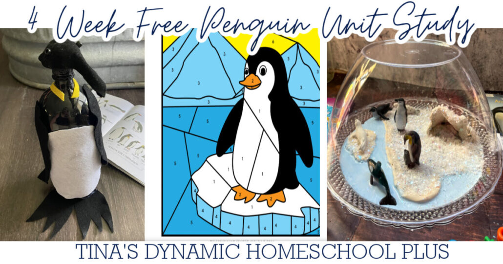 Best Free 4 Week Penguin Study Unit | Fun Study Packet