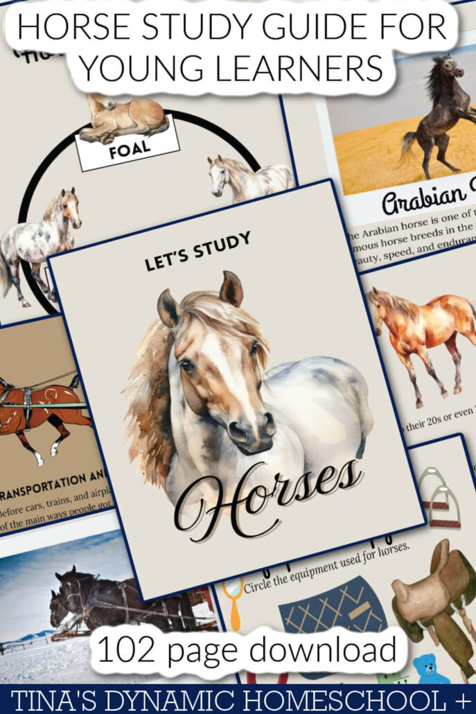 Horse Study Guide For Kids Who Love Animals