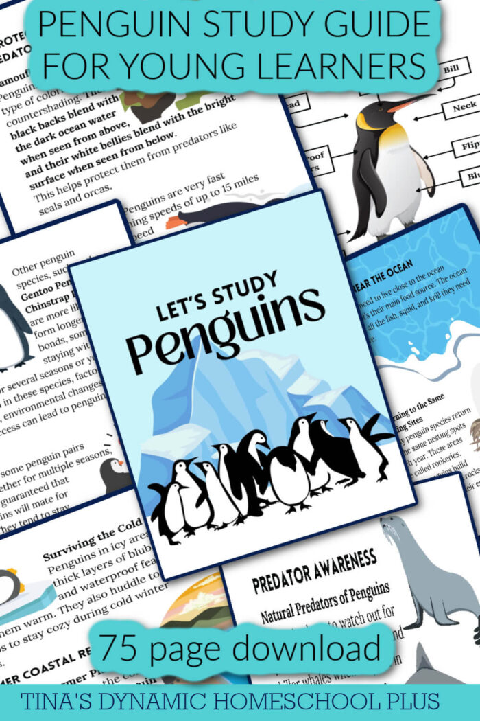 Dynamic and Amazing Penguin Study Guide For Young Learners - Image 3