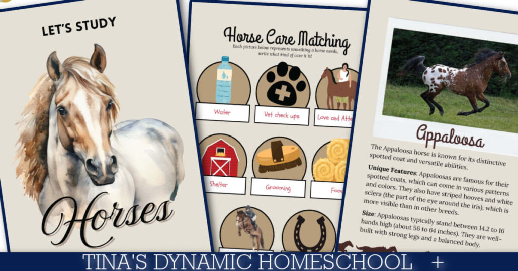 Horse Study Guide For Kids Who Love Animals