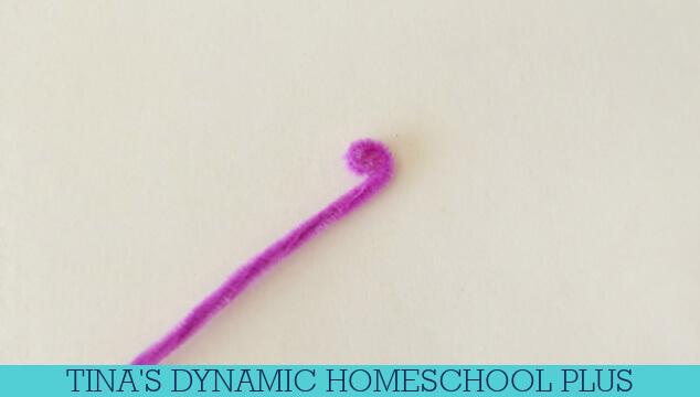 How Do Mollusks Breathe | Easy Pipe Cleaner Snail Craft