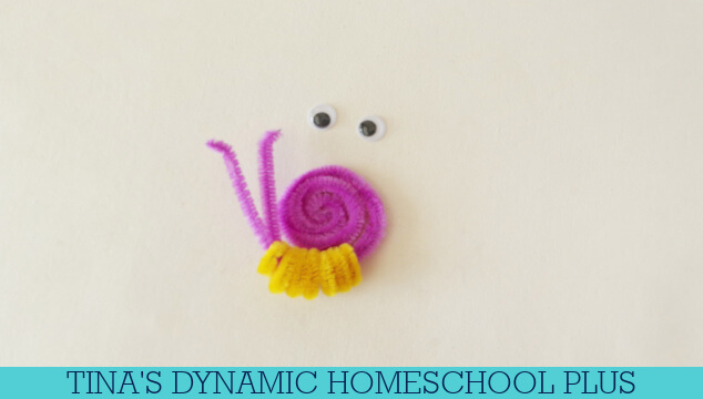 How Do Mollusks Breathe | Easy Pipe Cleaner Snail Craft