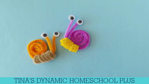 How Do Mollusks Breathe | Easy Pipe Cleaner Snail Craft