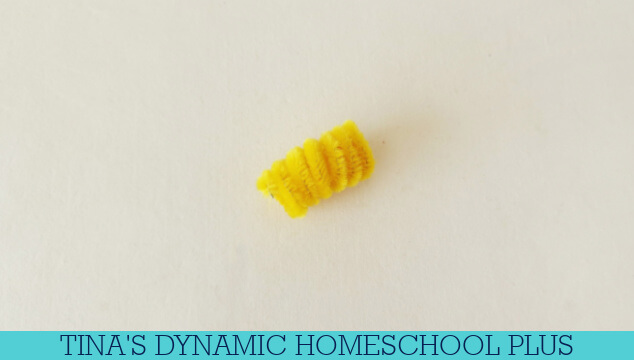 How Do Mollusks Breathe | Easy Pipe Cleaner Snail Craft