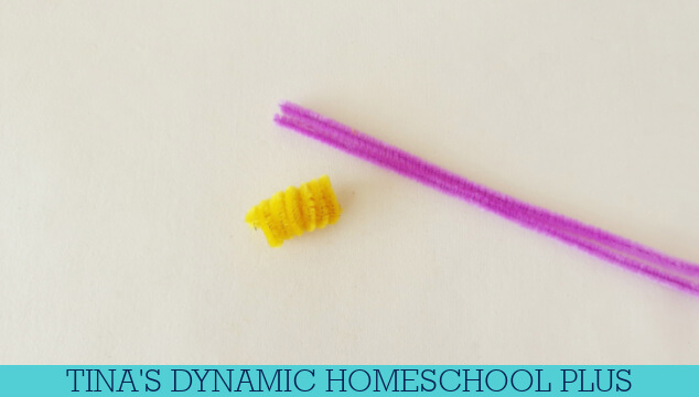 How Do Mollusks Breathe | Easy Pipe Cleaner Snail Craft