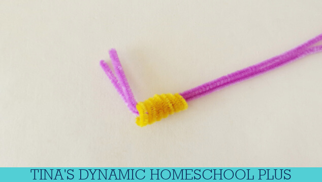 How Do Mollusks Breathe | Easy Pipe Cleaner Snail Craft