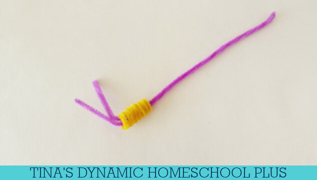 How Do Mollusks Breathe | Easy Pipe Cleaner Snail Craft