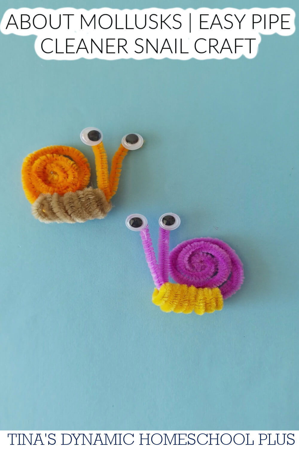 How Do Mollusks Breathe | Easy Pipe Cleaner Snail Craft