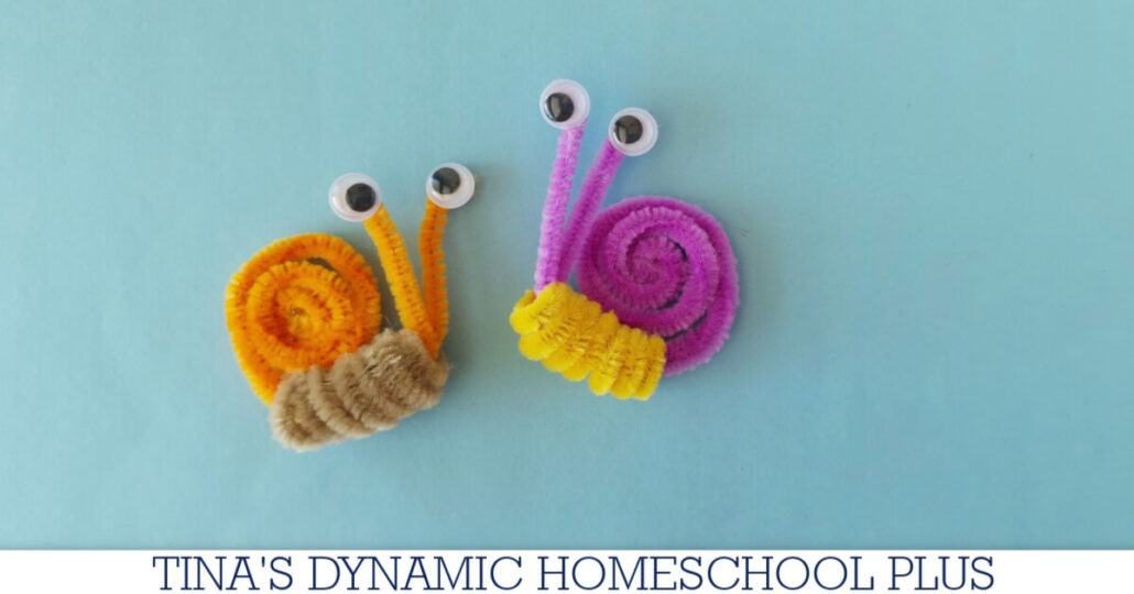 How Do Mollusks Breathe | Easy Pipe Cleaner Snail Craft