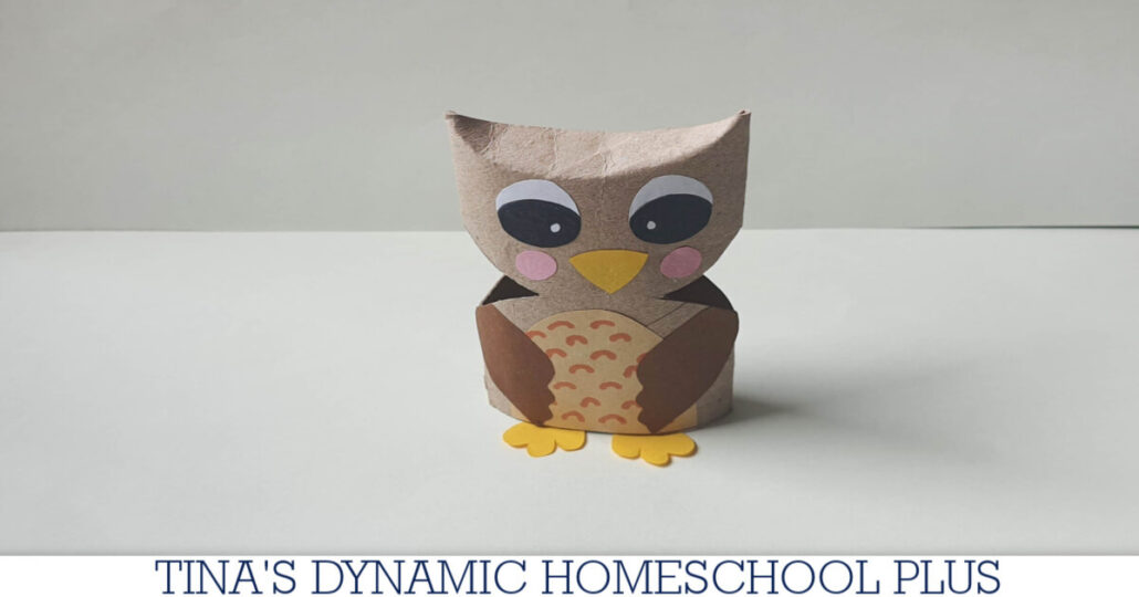 How to Make a Toilet Roll Owl & Elf Owl Facts