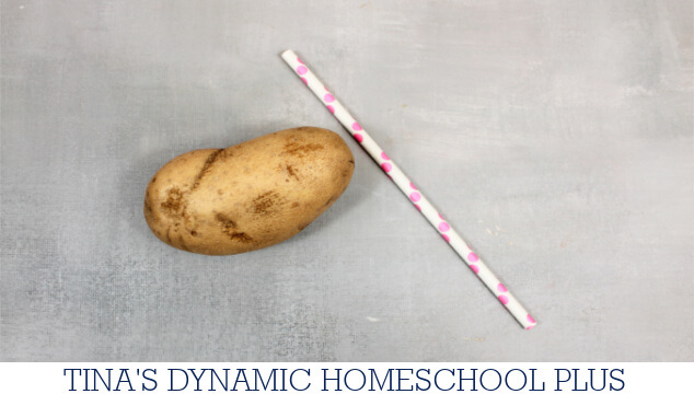 Meteorology For Kids Made Fun: Amazing Potato Straw Experiment | Free Printable