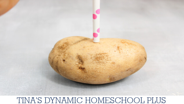 Meteorology For Kids Made Fun: Amazing Potato Straw Experiment | Free Printable