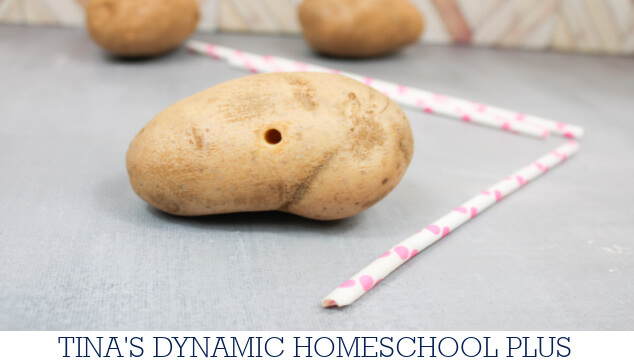 Meteorology For Kids Made Fun: Amazing Potato Straw Experiment | Free Printable