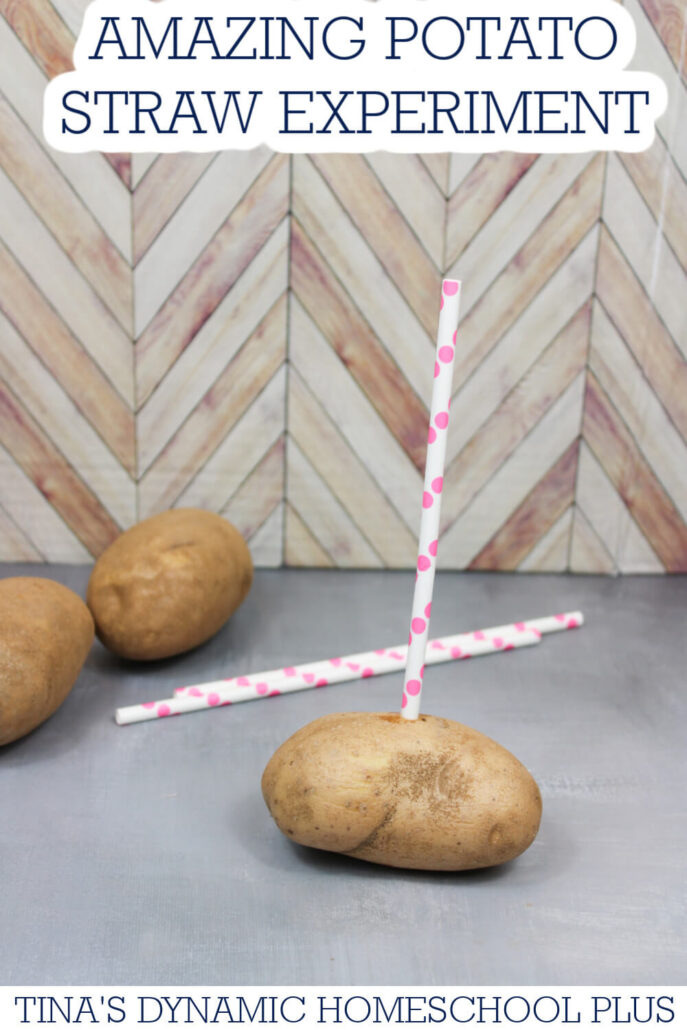 Meteorology For Kids Made Fun: Amazing Potato Straw Experiment | Free Printable