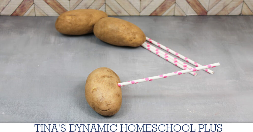 Meteorology For Kids Made Fun: Amazing Potato Straw Experiment | Free Printable