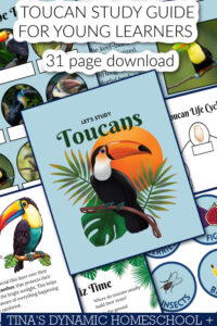 Dynamic and Amazing Toucan Study Guide For Young Learners