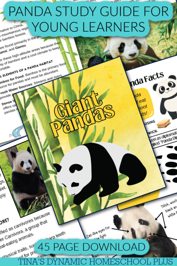 4 Week Free Homeschool Panda Unit Study & Best Hands-On Ideas