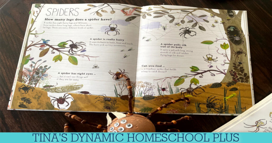 Fun And Easy Spider Craft: Insect Lessons For Elementary Students