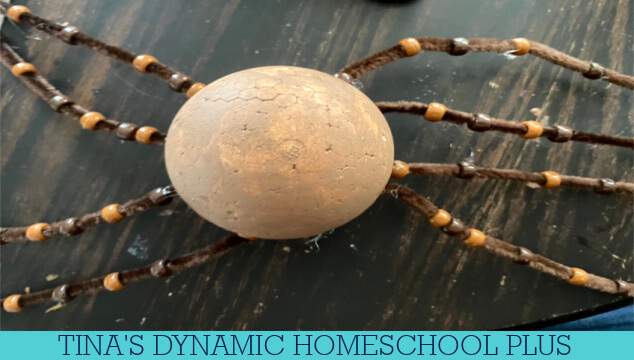 Fun And Easy Spider Craft: Insect Lessons For Elementary Students