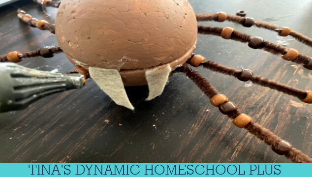 Fun And Easy Spider Craft: Insect Lessons For Elementary Students