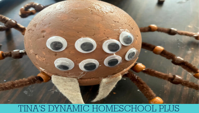 Fun And Easy Spider Craft: Insect Lessons For Elementary Students